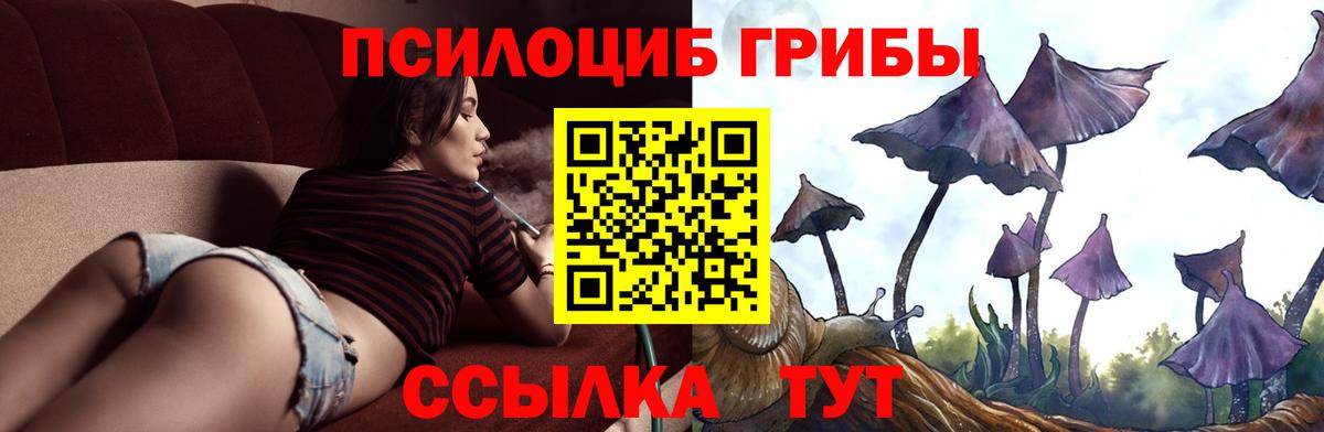Псилоцибиновые грибы Psilocybine cubensis  Вход с VPN  Балашов 